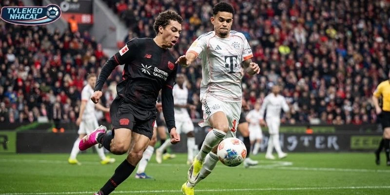 Kèo Bóng Đá Slovakia Vs Kosovo Hôm Nay Ngày 27/03/2026 - VLWC 1 Tình hình Slovakia vs Kosovo