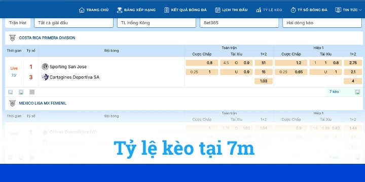 7m - Tham gia cá cược với hàng loạt kèo bóng đá hấp dẫn 3 Tỷ lệ kèo bóng đá 7m được cung cấp đầy đủ
