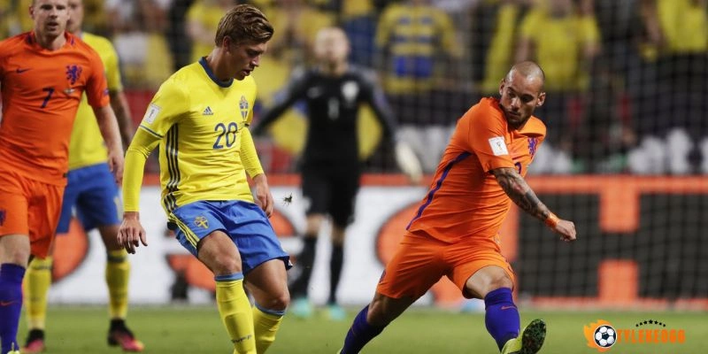 Tỷ Lệ Kèo Hà Lan Vs Thụy Điển - Bảng F World Cup 00h00 21/06/2026 3 Đội hình ra sân dự kiến trận Hà Lan vs Thụy Điển